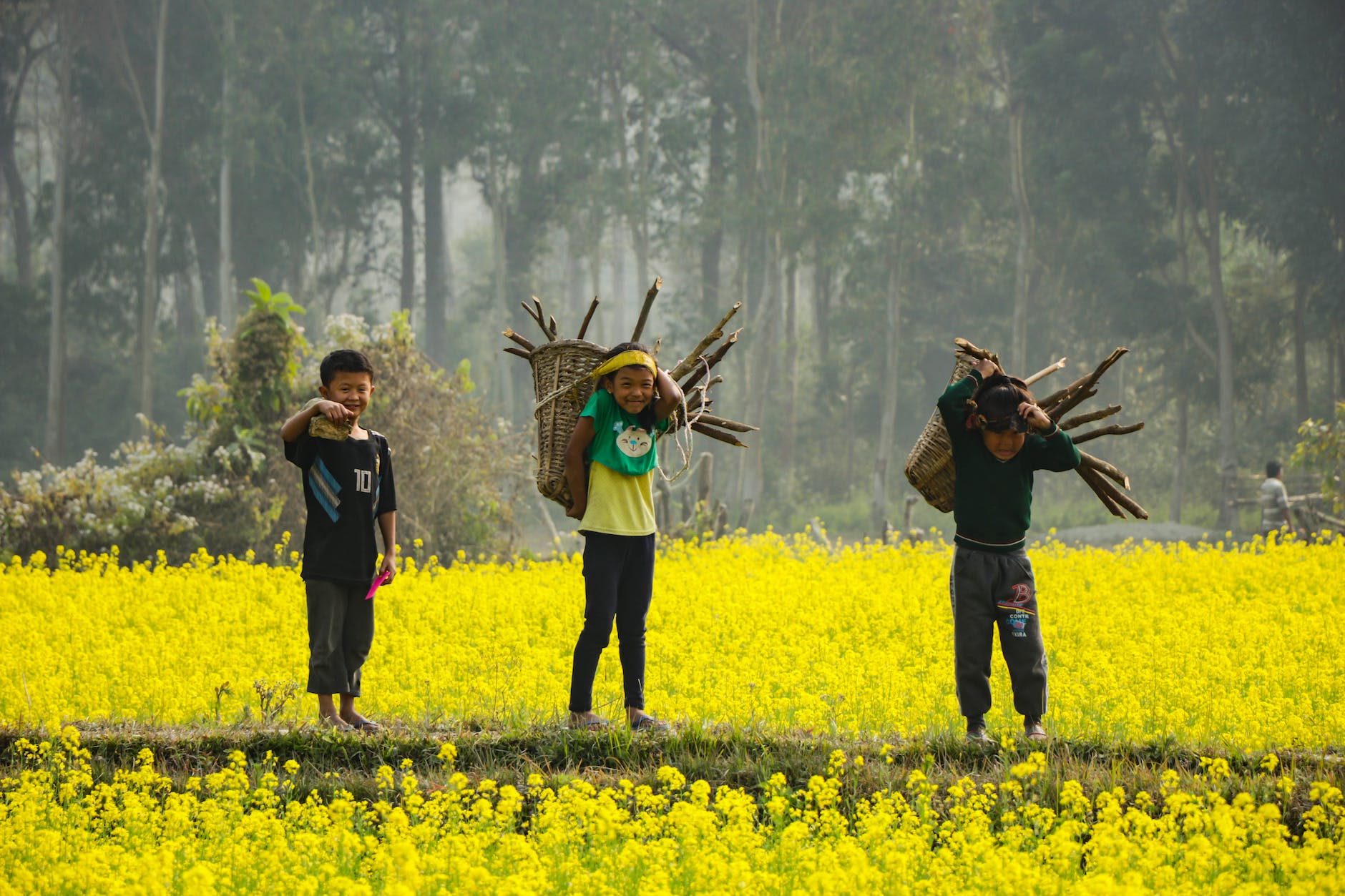Children enjoying a leisurely stroll in the sprawling fields, basking in the simple joys of nature's embrace