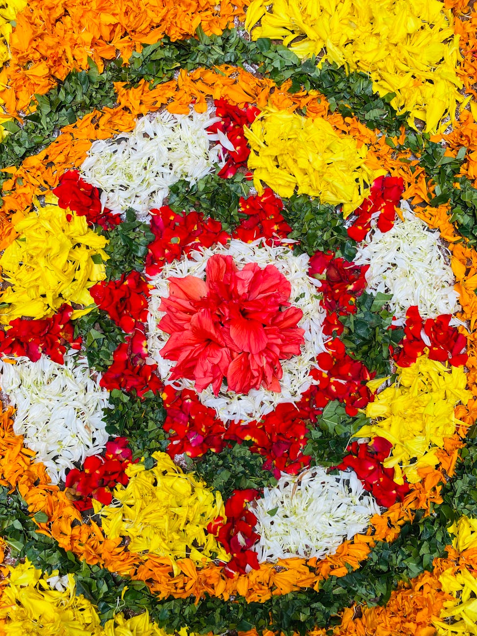 Onam flowers 